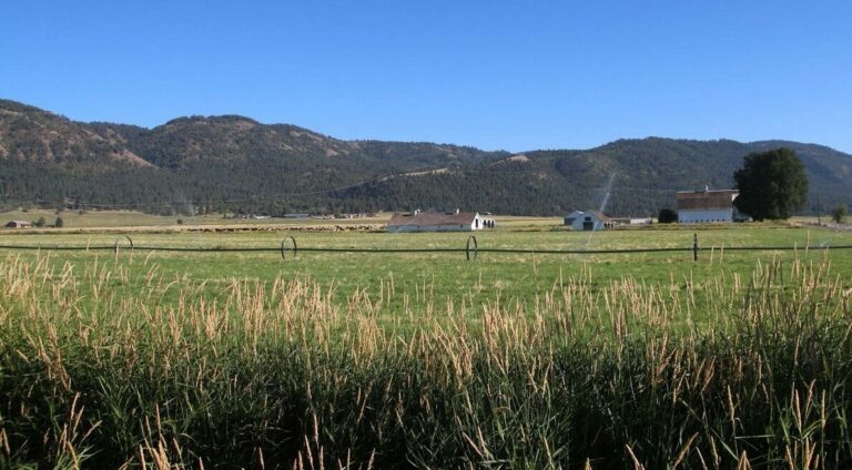 Climate-Resilient Agriculture: a Win-Win for Farmers and Fish