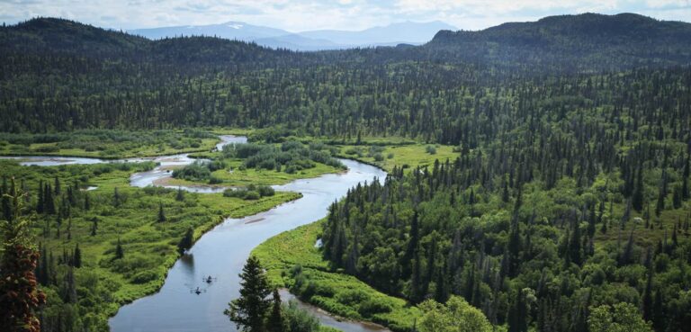 Mitch & Elizabeth Siegler: A Legacy of Salmon Strongholds