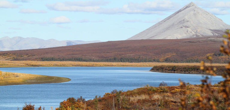 Big Win! Critical Alaska BLM Lands Protected