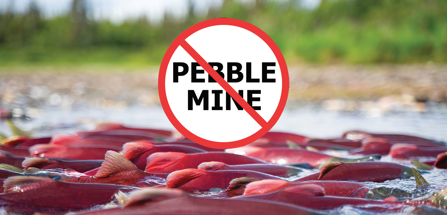 AK-sockeye3-NoPebbleMine-JChing-1500