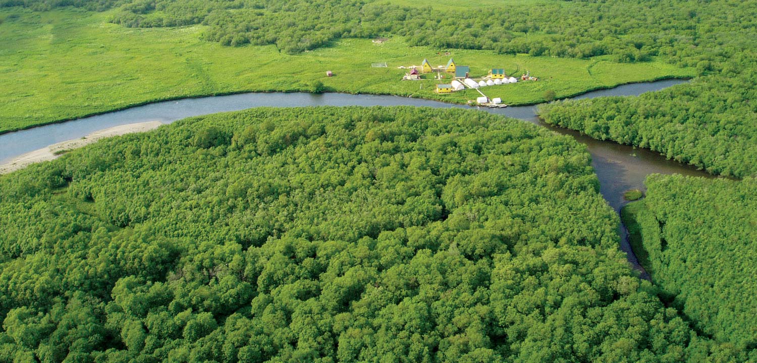 Kol River Biostation, Kamchatka, Russia