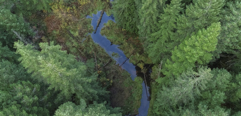 Protecting Salmon Strongholds, Slowing Climate Change