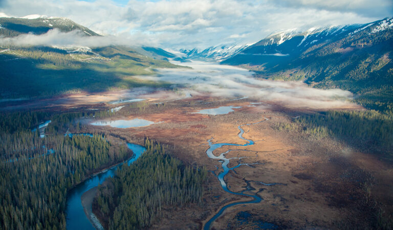 Freshwater species are at risk. Salmon strongholds can help reverse the decline.