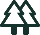 Forests